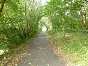 Showing route  down to the Penwortham entrance at the end of the trees.
